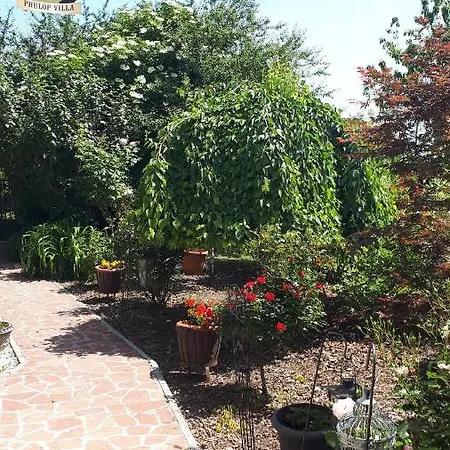 Fülöp Apartman Balatonszepezd