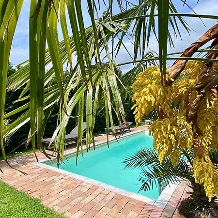 Fueloep Apartmanhaz * Balatonszepezd