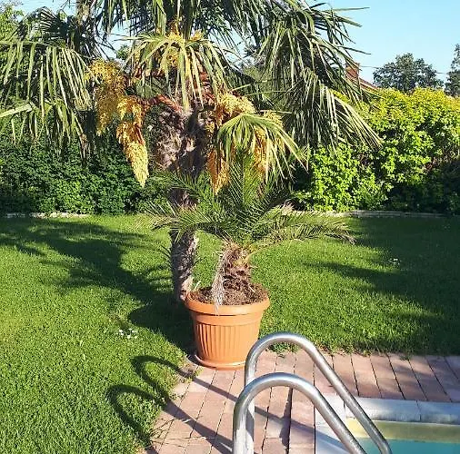 Fueloep Apartmanhaz 아파트 *