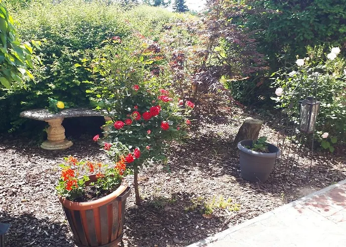 Fueloep Apartmanhaz *