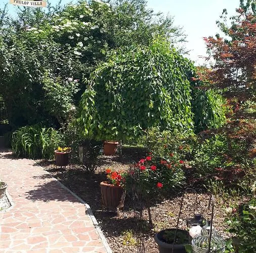 Fueloep Apartmanhaz 아파트 벌러톤세페즈드